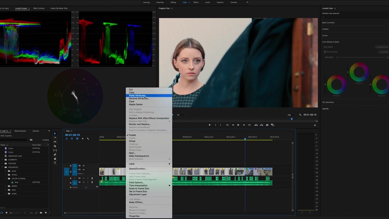 Paste Attributes Color Grading Adobe Premiere