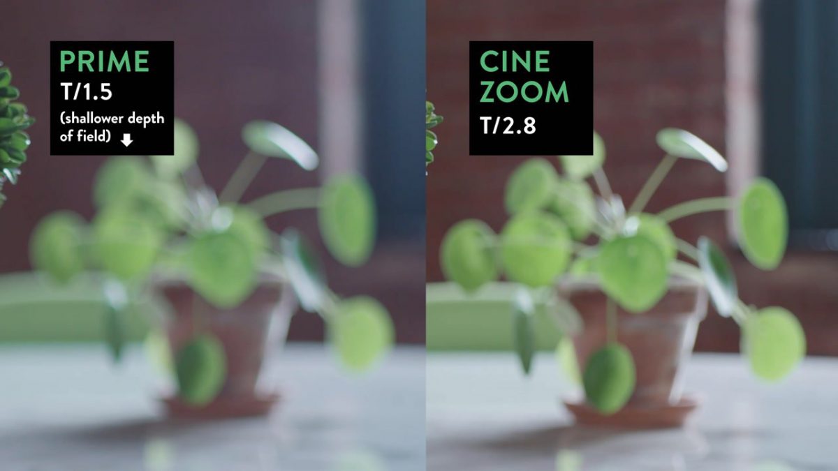 Optimal Optics a Primer on Lenses SproutVideo