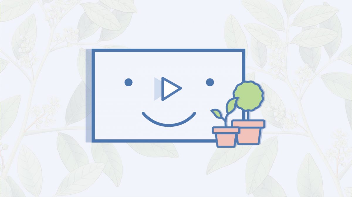 SproutVideo now available through Embed.ly